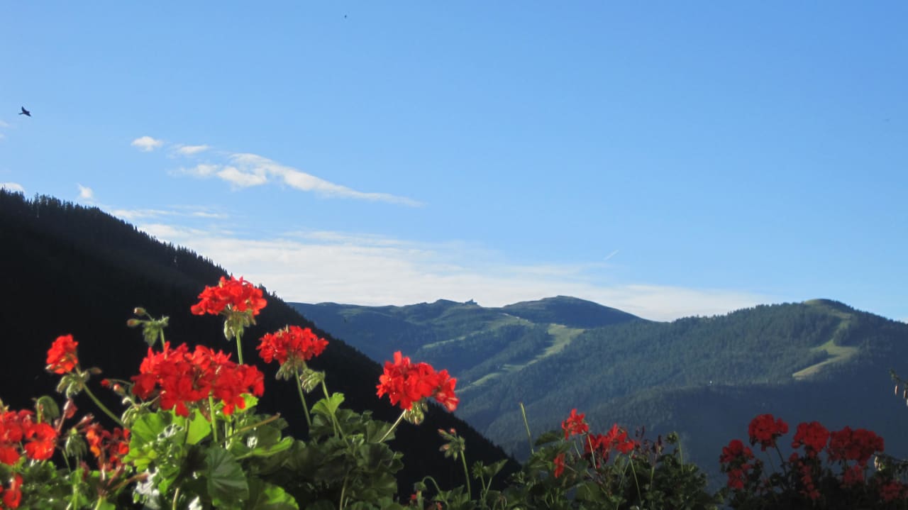 Ausblick Hotel St. Oswald