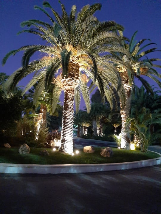 Außenansicht Caravia Beach Hotel