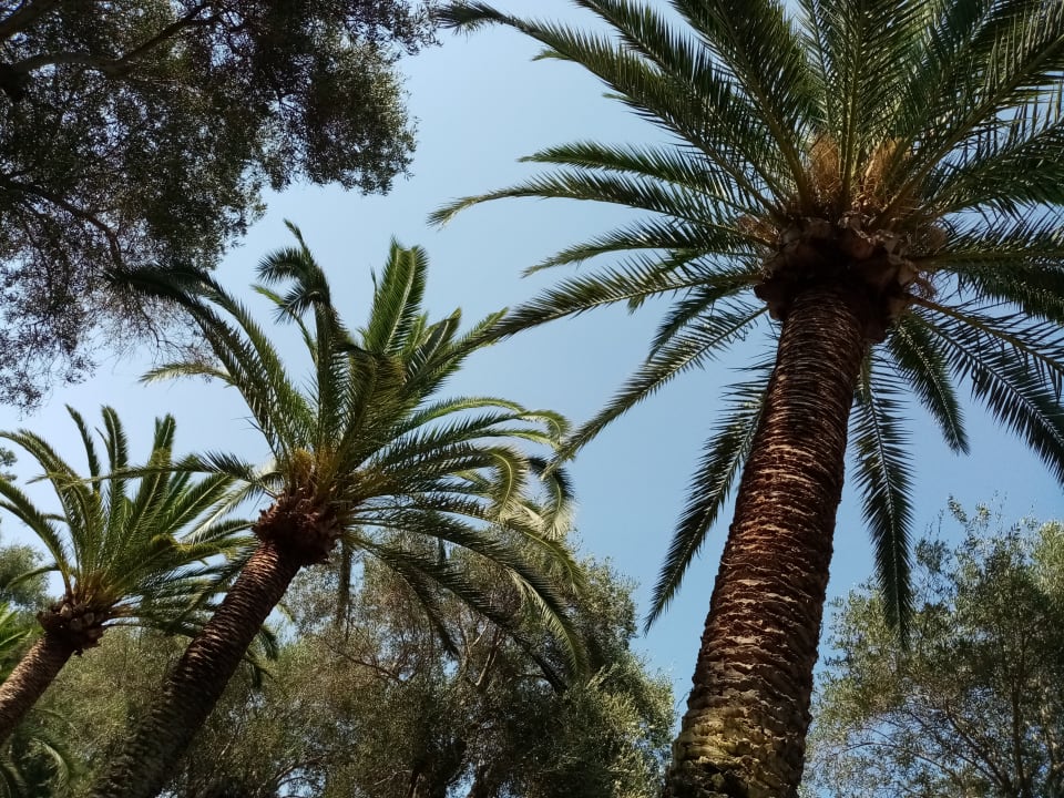 Strand Grecotel LUXME Daphnila Bay