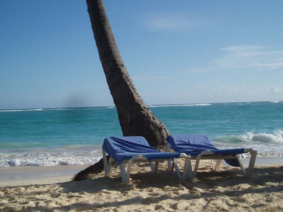 Seltener Anblick freier Liegen Grand Palladium Select Bávaro Resort & Spa