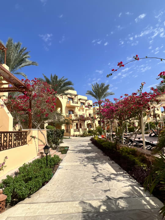 Gartenanlage Steigenberger Coraya Beach - Adults only