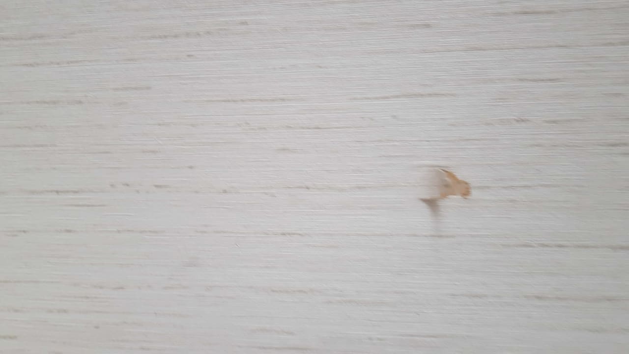 Zimmer Leoso Hotel Leverkusen