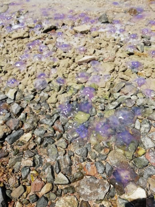 Strand Royal Star Beach Resort