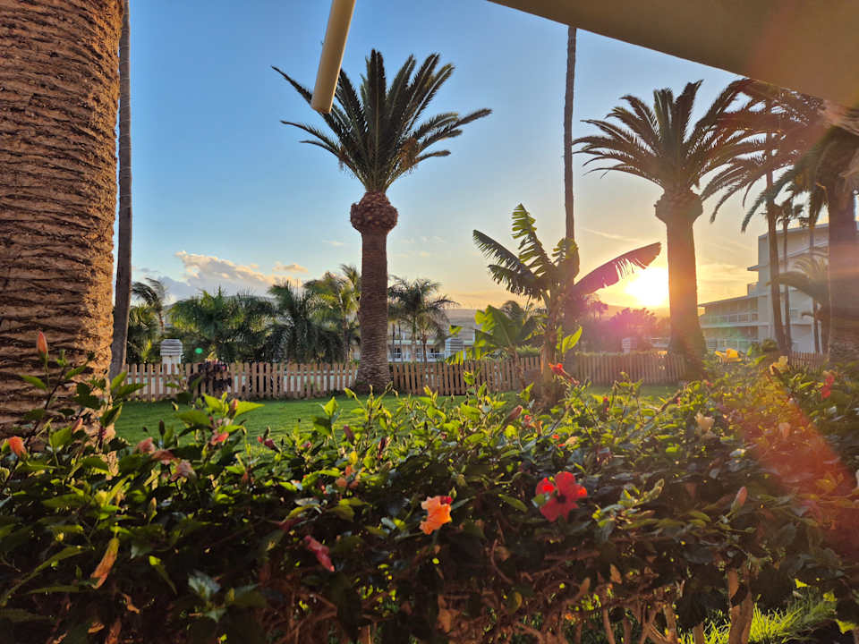 Gartenanlage Club Hotel Drago Park