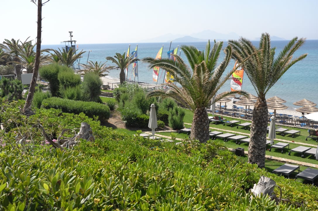 Ausblick ROBINSON DAIDALOS