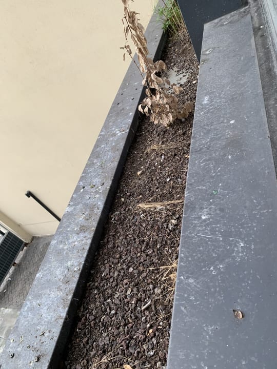 Zimmer Simon's Boutique Hotel - Ice Bar