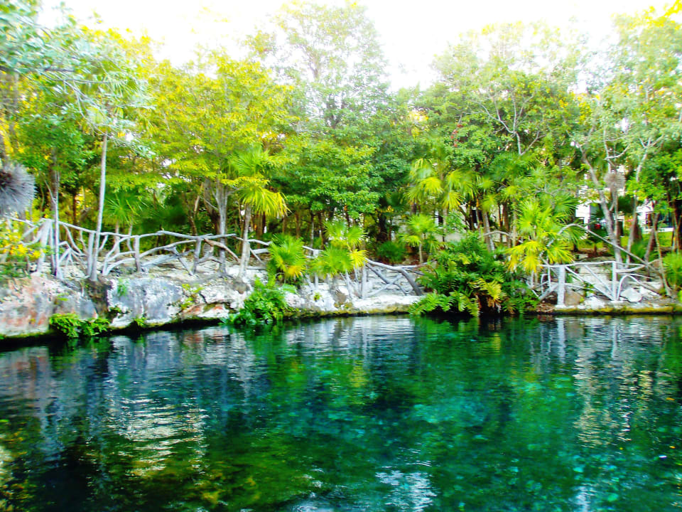 Cenote an der Lobbybar Sandos Caracol Eco Resort & Spa Select Club Adults only - All Inclusive