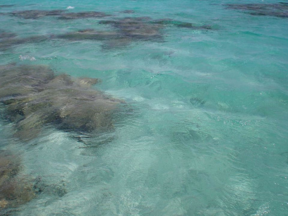 Vom Steg I Hotel Sheraton Soma Bay Resort