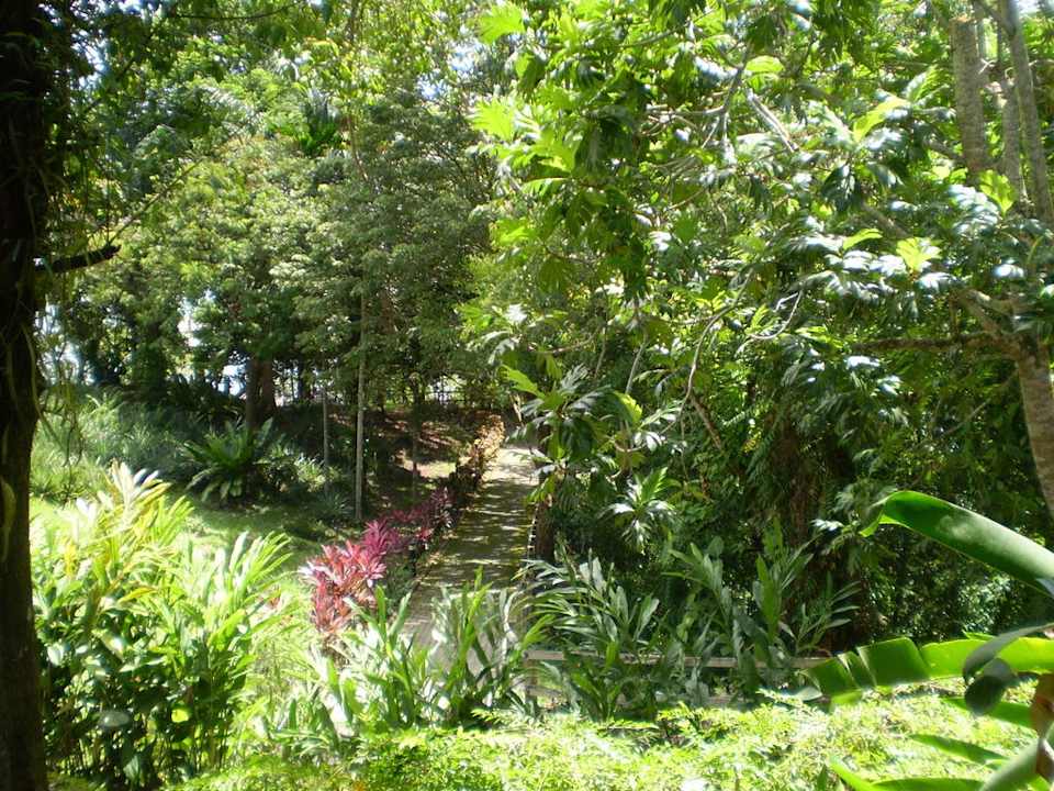 Hotelgarten Aiman Batang Ai Resort & Retreat