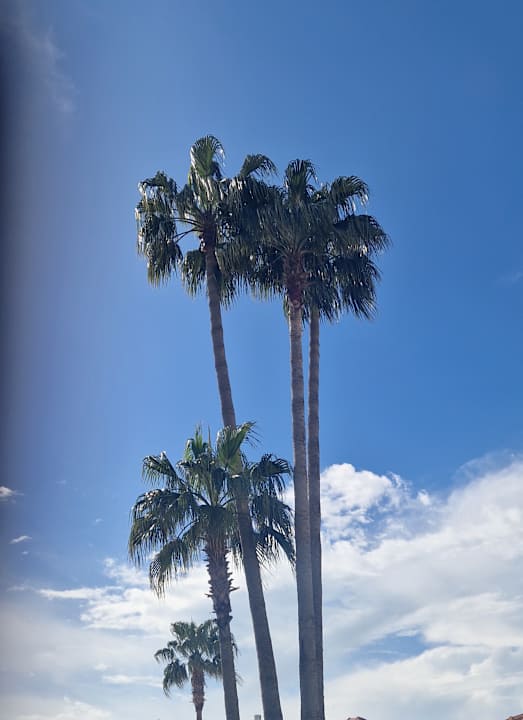 Außenansicht Side Star Elegance