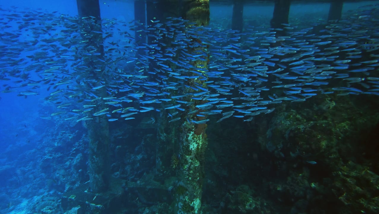 Sport & Freizeit ROBINSON MALDIVES