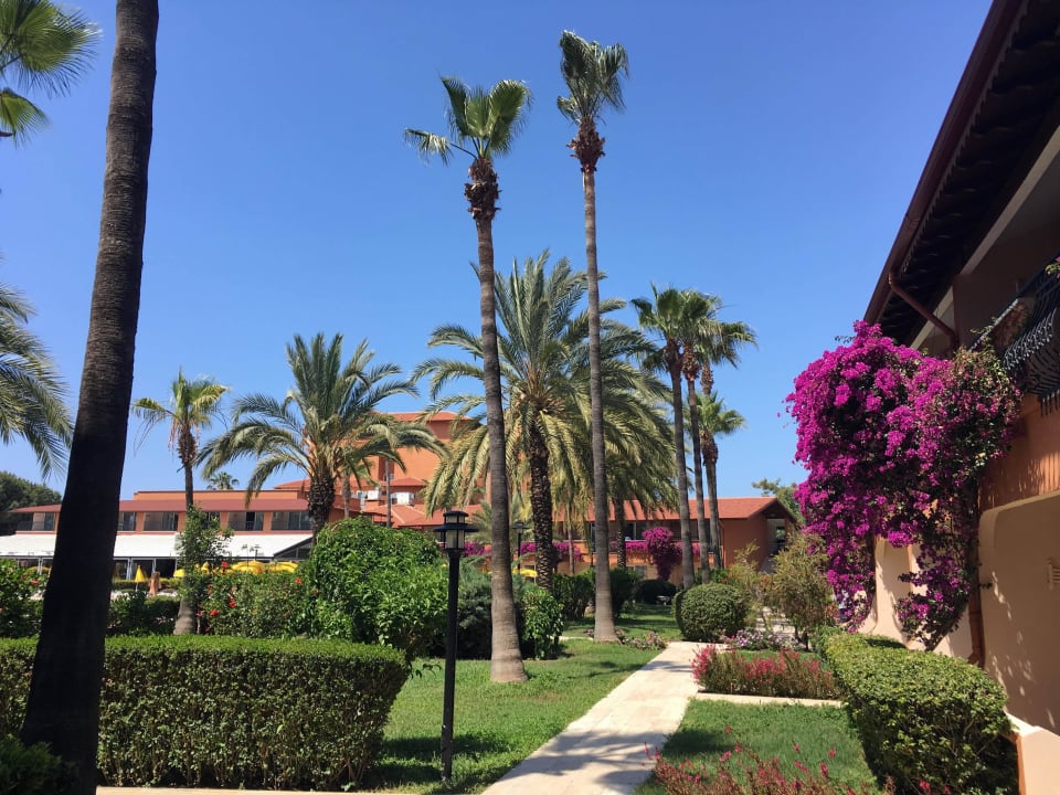 Garteneinblick D Block Club Turtas Beach Hotel