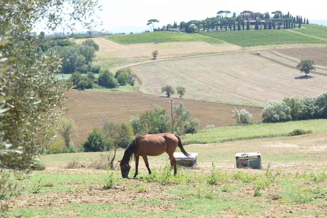 Tenuta Agriturismi Farina Agriturismi Farina