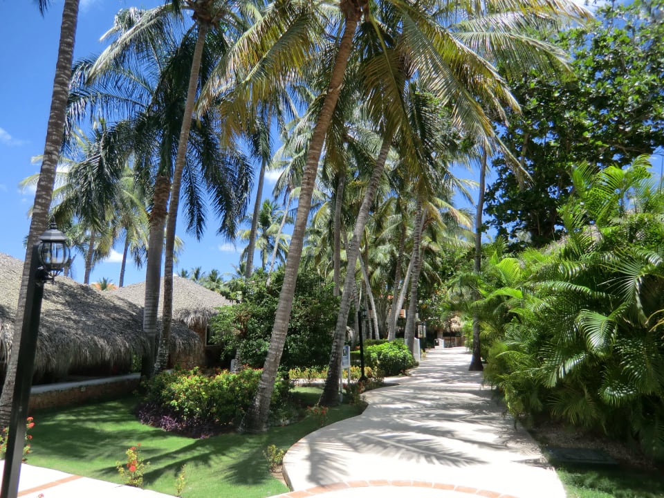 Hotelanlage Hotel Viva Dominicus Palace by Wyndham-All Inclusive Resort