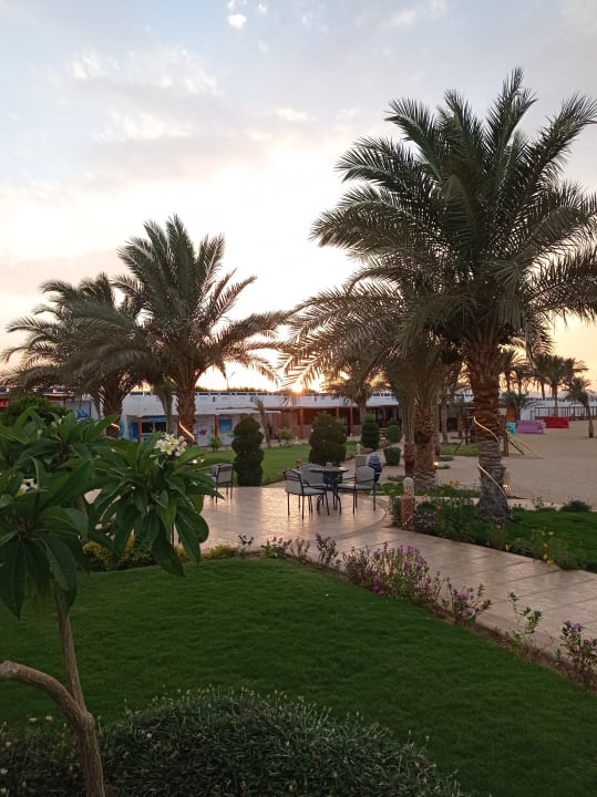 Außenansicht Coral Sun Beach
