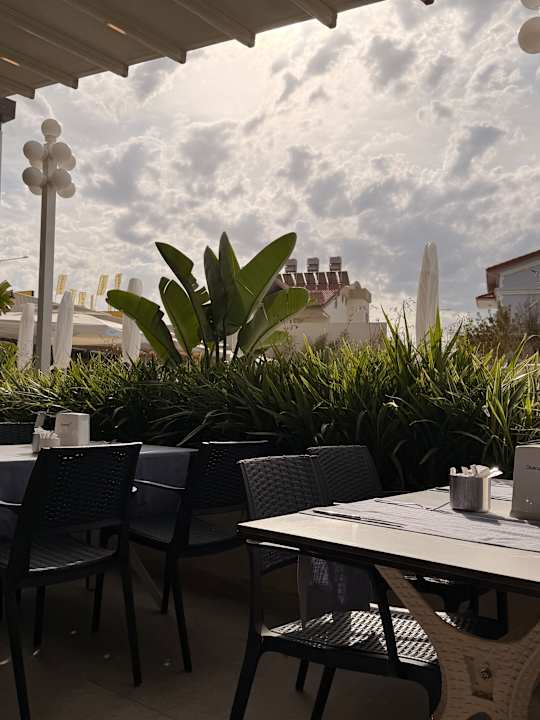 Außenansicht Seashell Vega