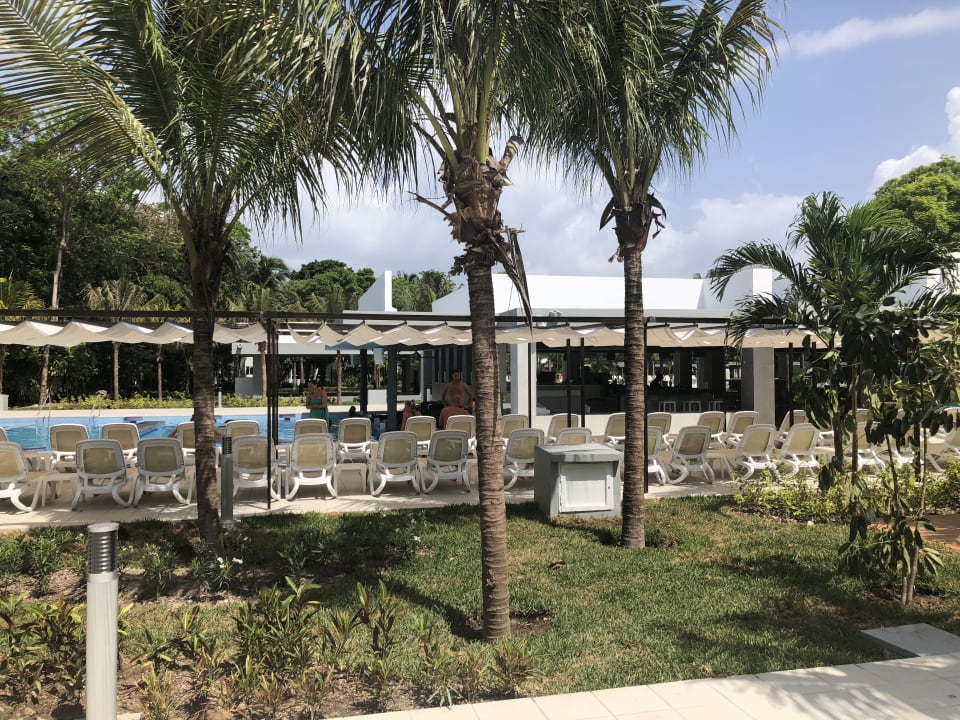 Pool Hotel Riu Tequila