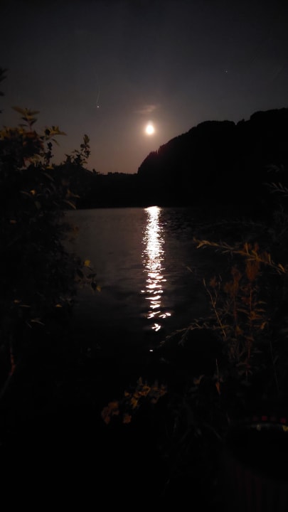 Ausblick Hotel Bellevue am See