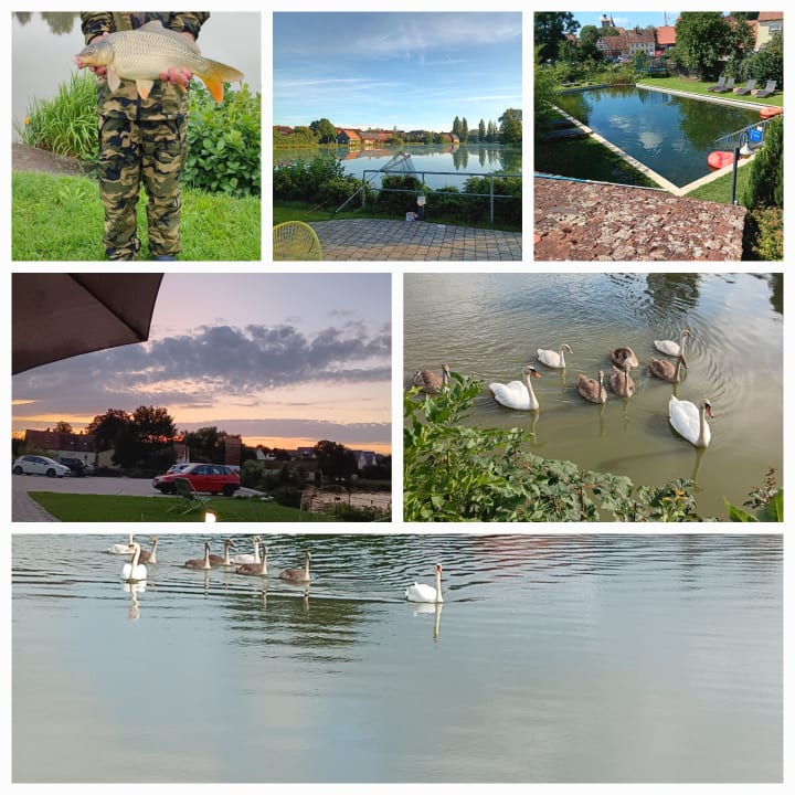 Ausblick Ferienwohnungen Ballheim