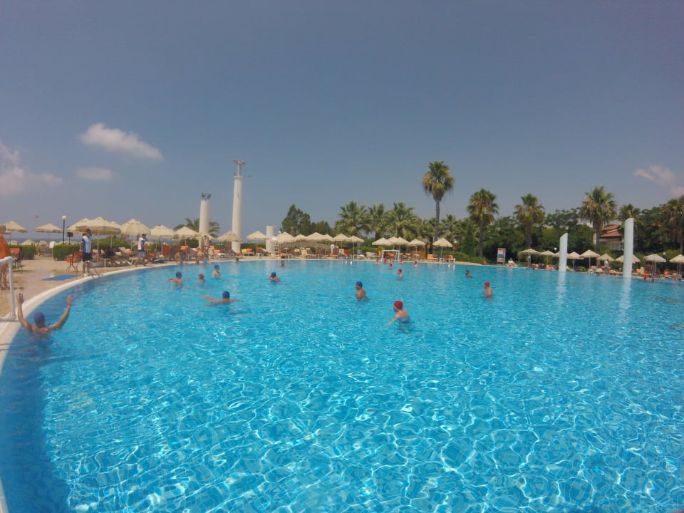 Pool Starlight Resort Hotel