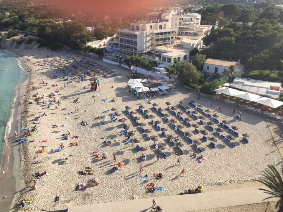 Der Strand aus dem 8. Stock Son Moll Sentits Hotel & Spa