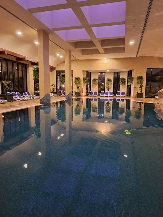 Pool Grand Hyatt Dubai