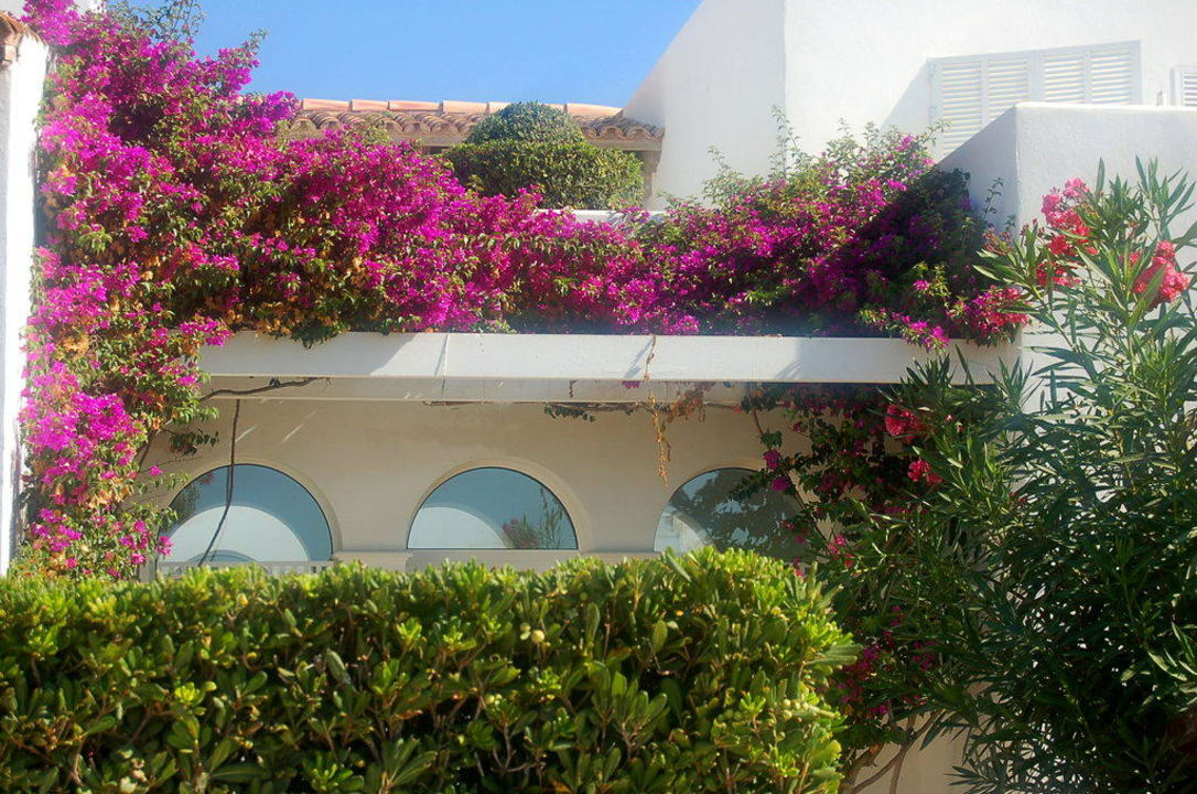 Wunderbarer Pflanzenbewuchs Bikini Island & Mountain Hotel Es Trenc