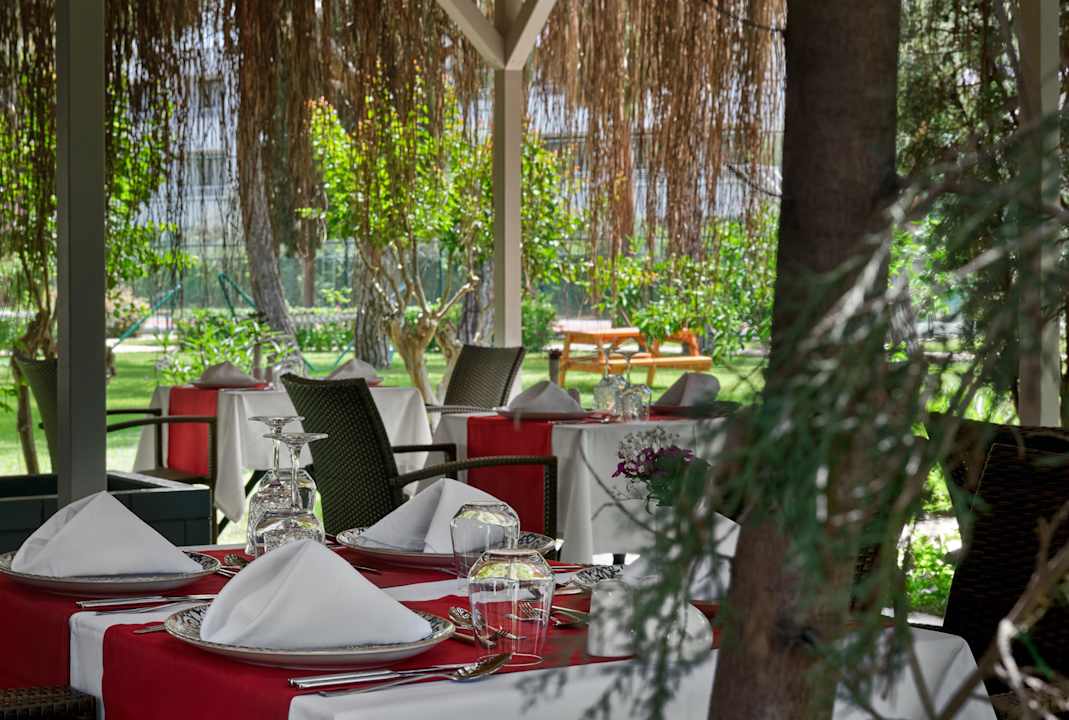 Gastro Asteria Collection Side