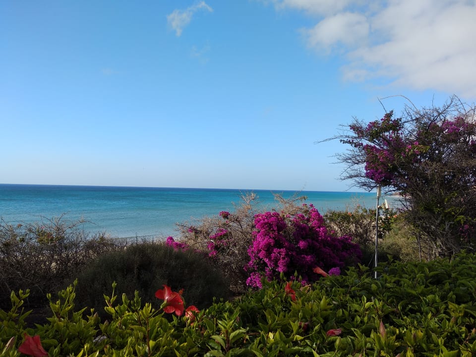 Ausblick SBH Hotel Taro Beach