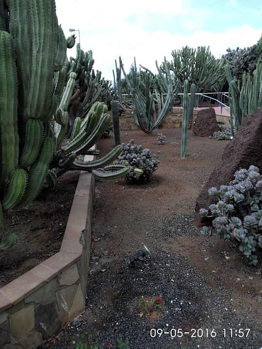 Garten am Hotel Hotel Europalace