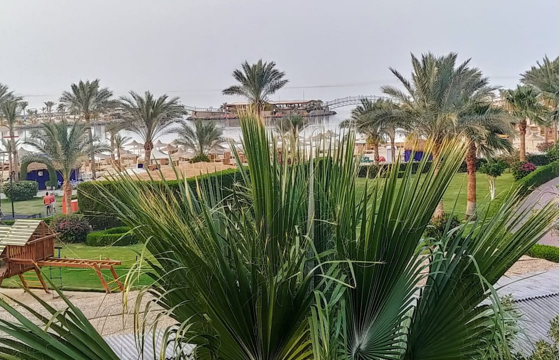 Ausblick Desert Rose