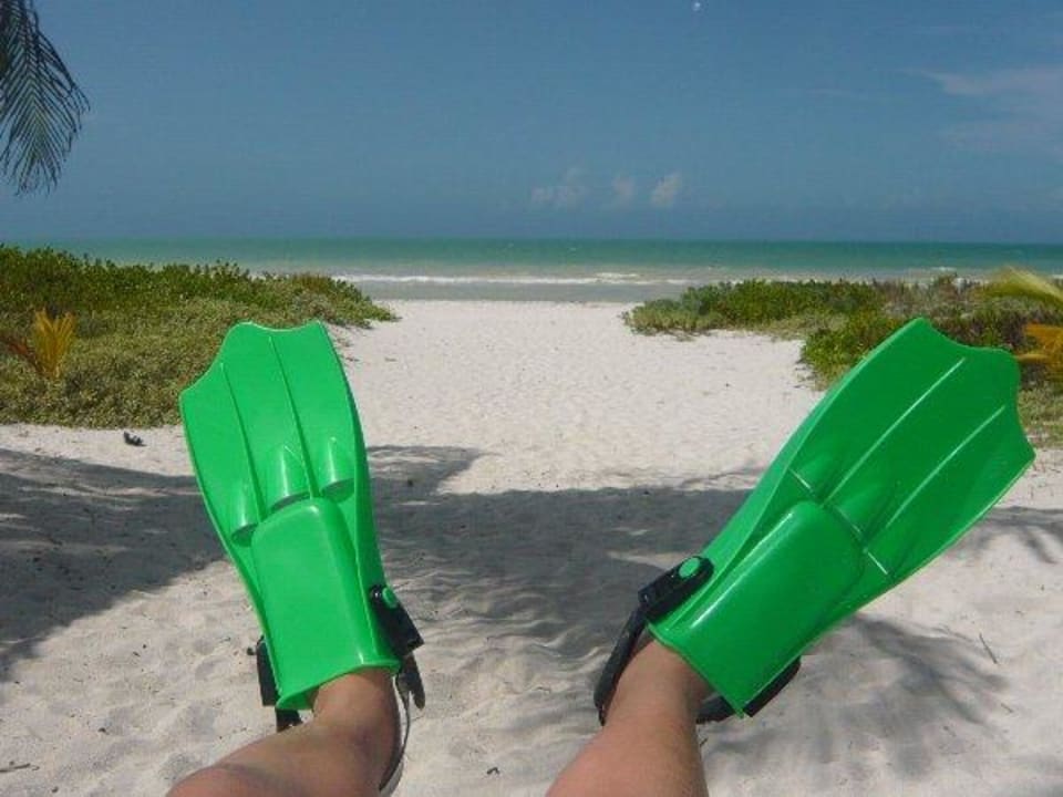 Schnorchelspass am Strand in El Cuyo Hacienda Antigua Lodge