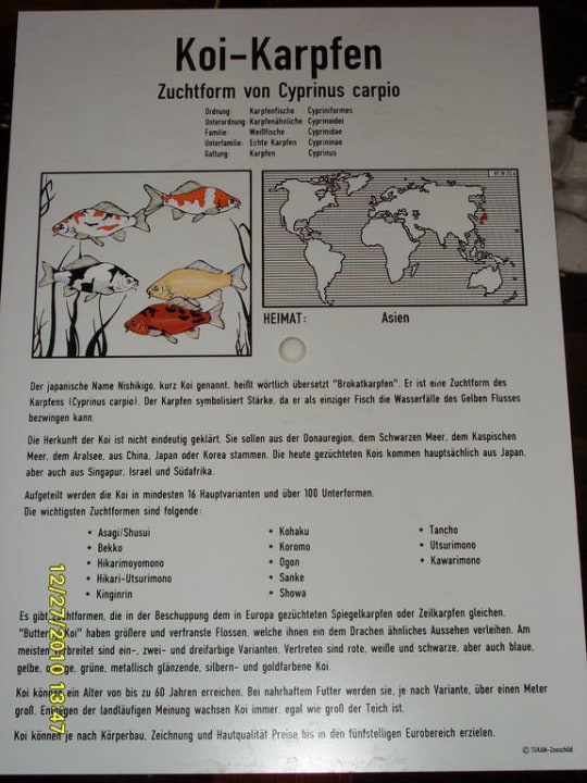 Dschungelland - Tropical Oase Ferienwohnungen Ferienpark Weissenhäuser Strand