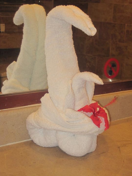 Handtuchfiguren Hotel Viva Dominicus Palace by Wyndham-All Inclusive Resort