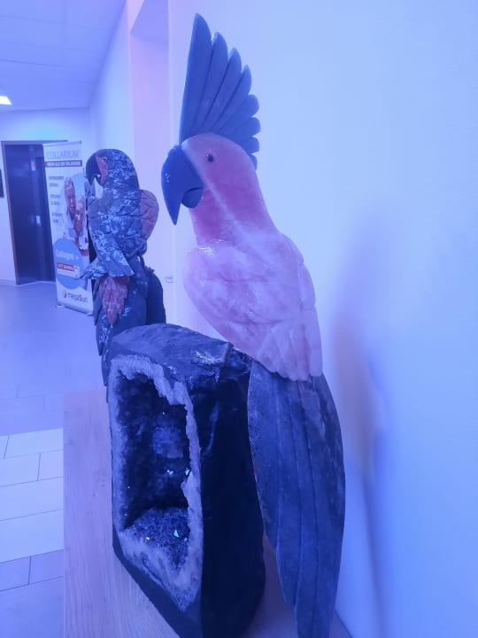 Sonstiges Sole Felsen Hotel