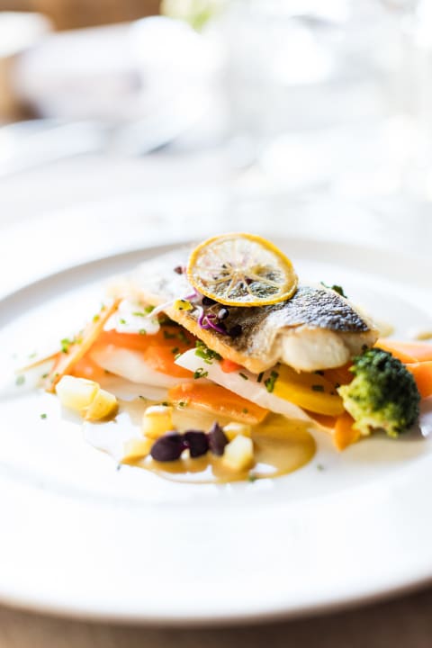 Gastro Hotel Solaria