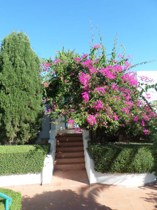 Gartenanlage Mastichari Bay Hotel