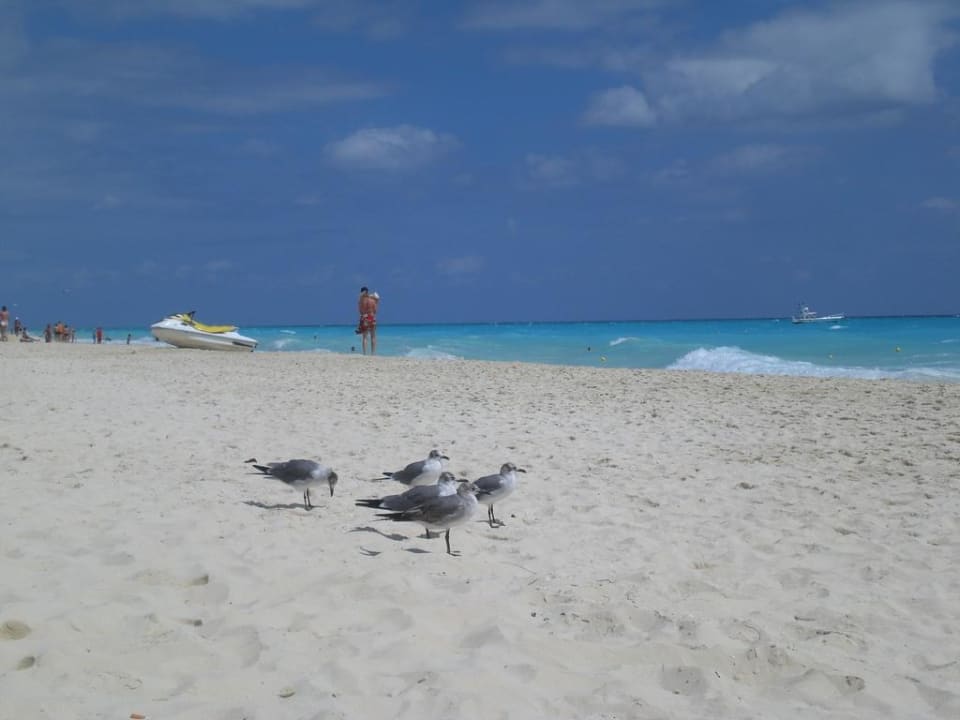 Beach Hotel Riu Tequila