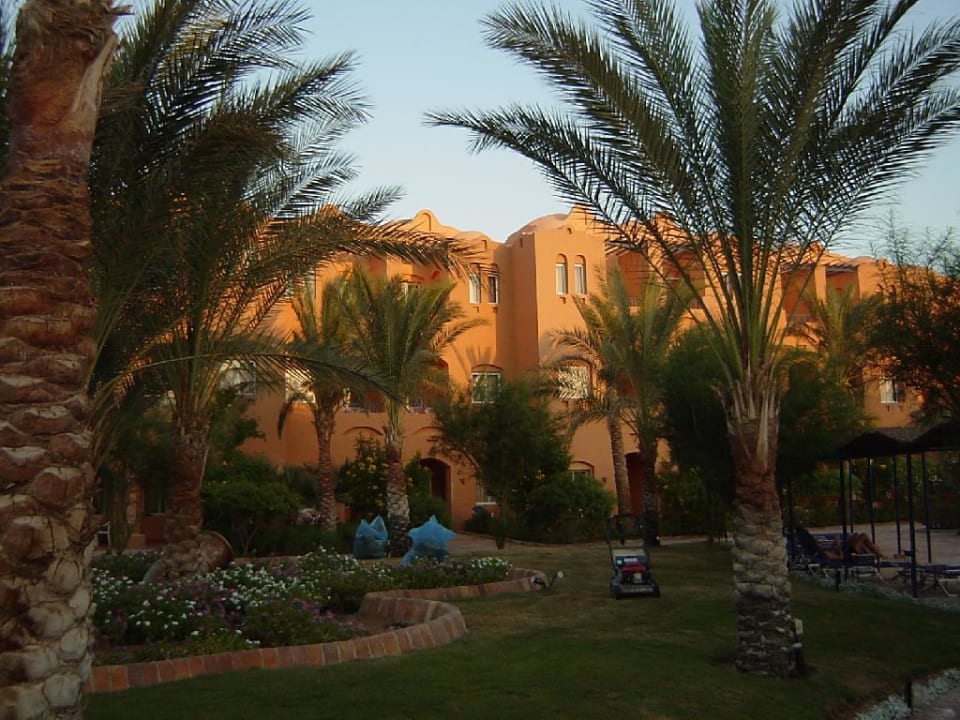 Hotel Makadi Oasis Jaz Makadi Oasis Resort