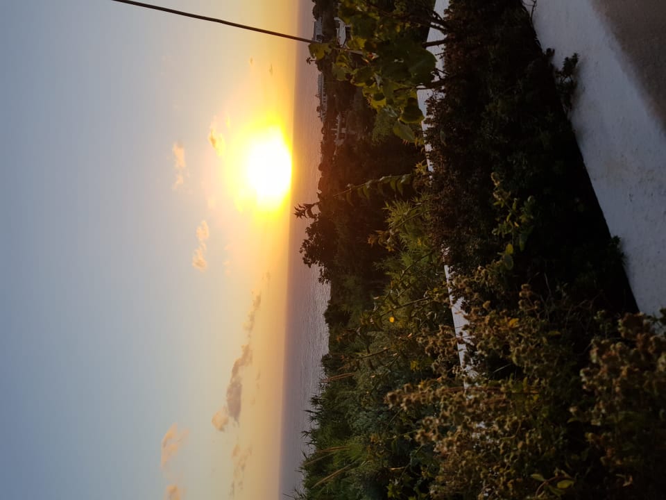 Ausblick Hotel Paradiso Terme Resort & SPA