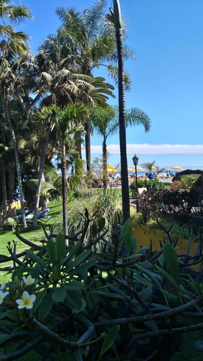 Gartenanlage Hotel Tigaiga
