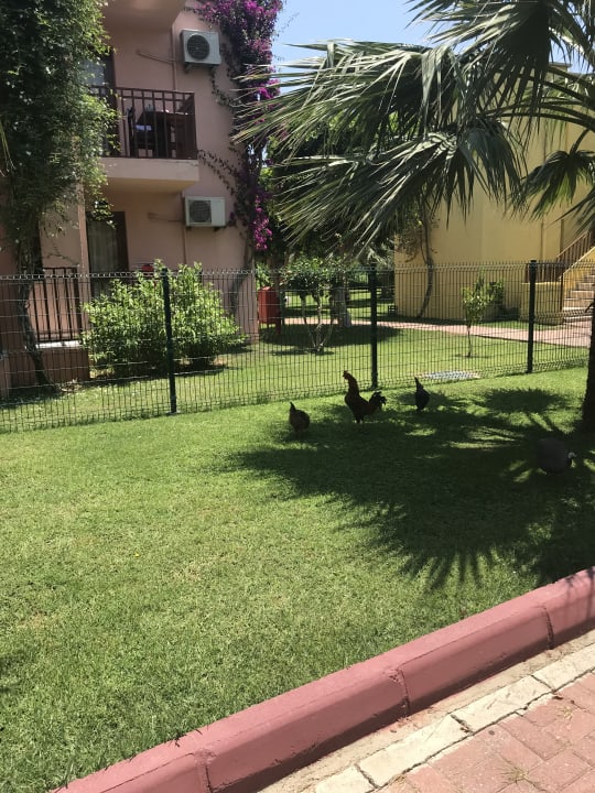 Gartenanlage VONRESORT Golden Coast