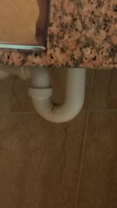 Zimmer 329 Senator Puerto Plata Hotel