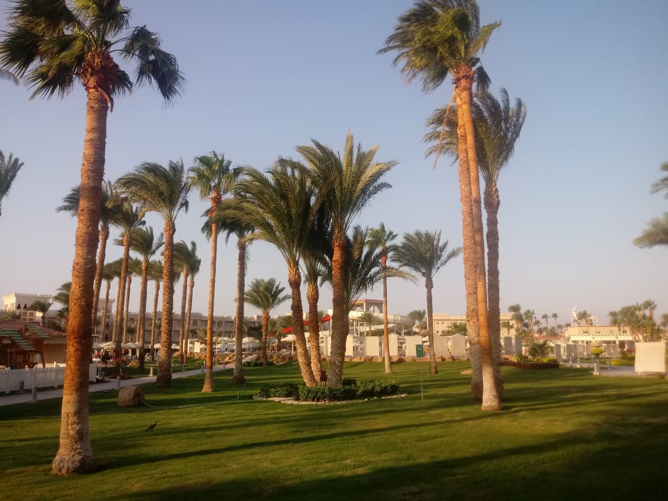 Garten Beach Albatros Resort