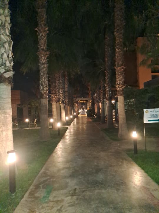 Gartenanlage Hotel Royal Garden Beach