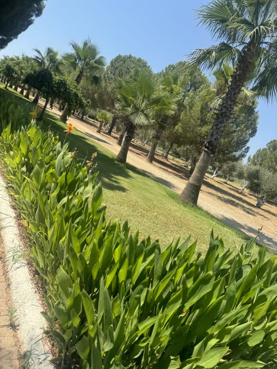 Sonstiges Hotel Süral Garden