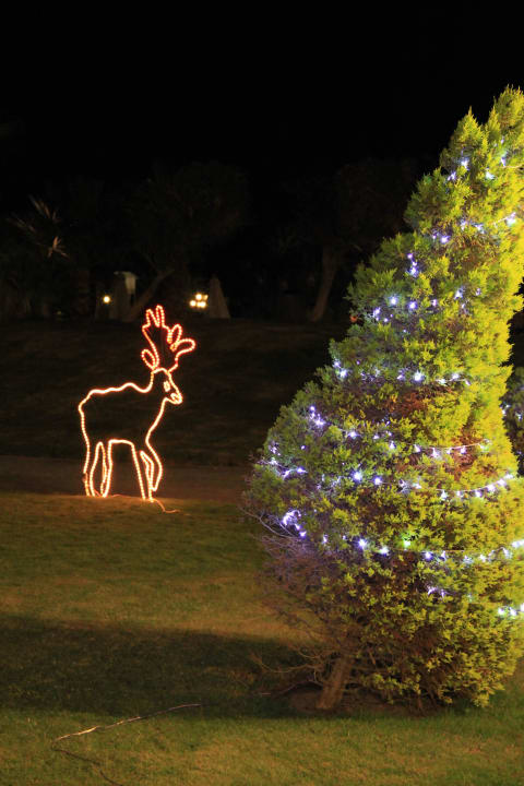 Weihnachtsdeko Steigenberger ALDAU Beach Hotel