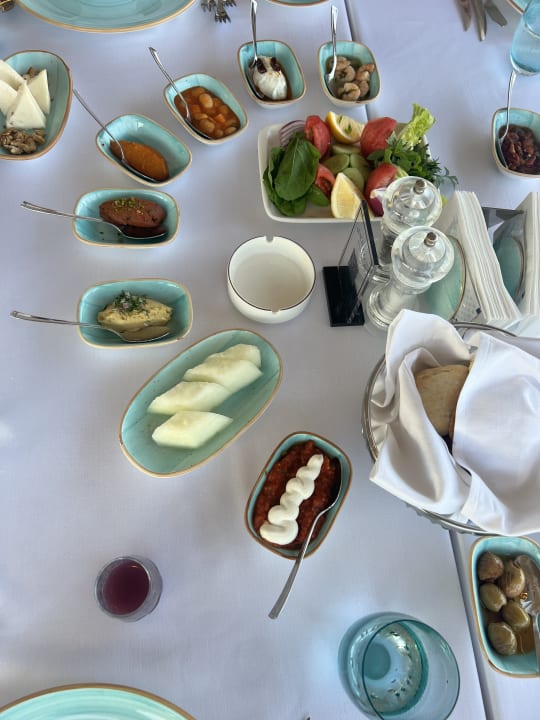 Gastro Papillon Belvil