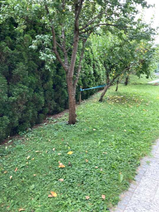 Gartenanlage Best Western Plus Hotel Erb