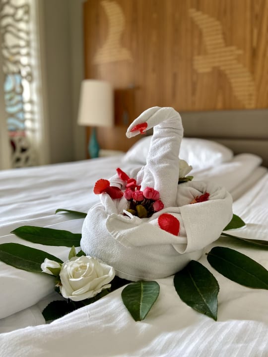 Zimmer PALOMA Perissia